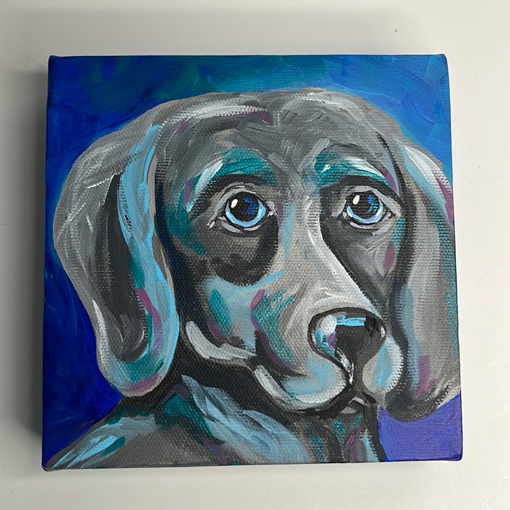 Weimaraner colorful acrylic pet painting on gallery wrapped canvas. 6”x6”